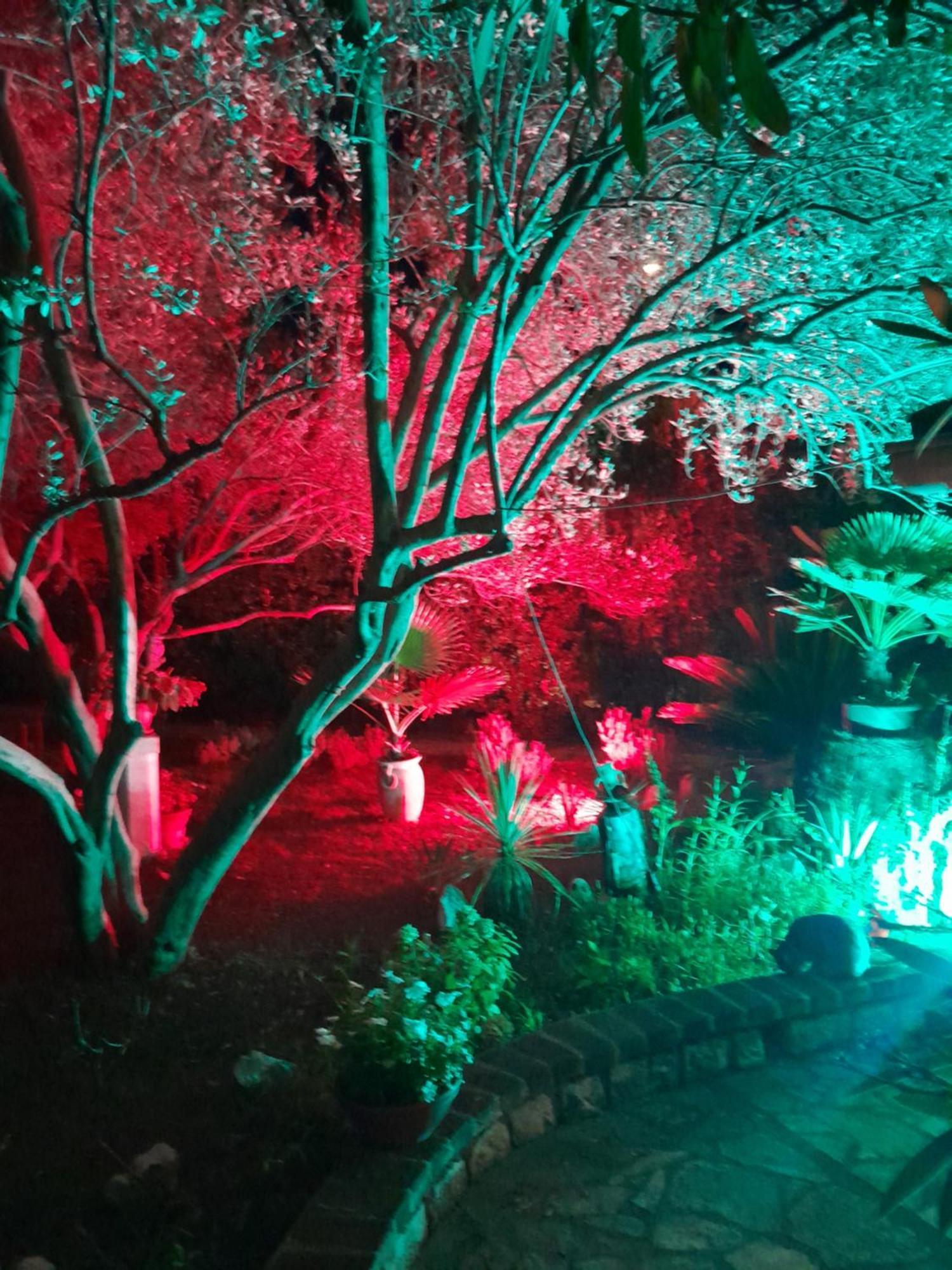 Apartments Rozic 拉布 外观 照片